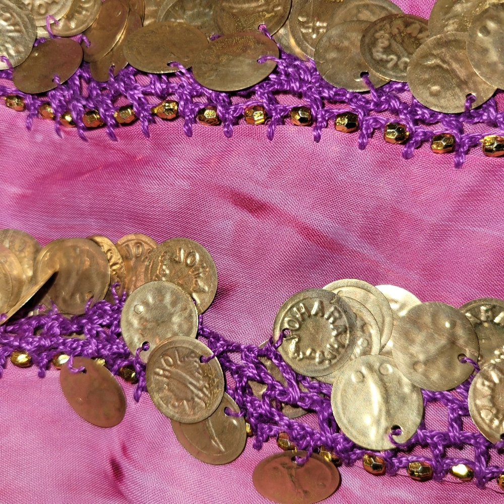 Coin Belt - Picture 2 of 2